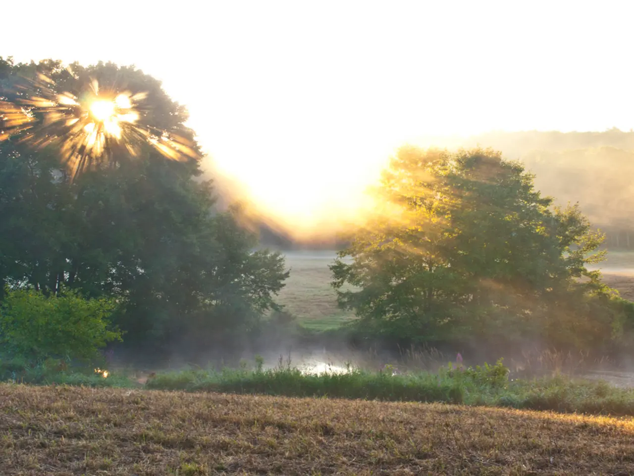 Overhauling Healthcare Strategies to Confront Detrimental Lifestyle Choices