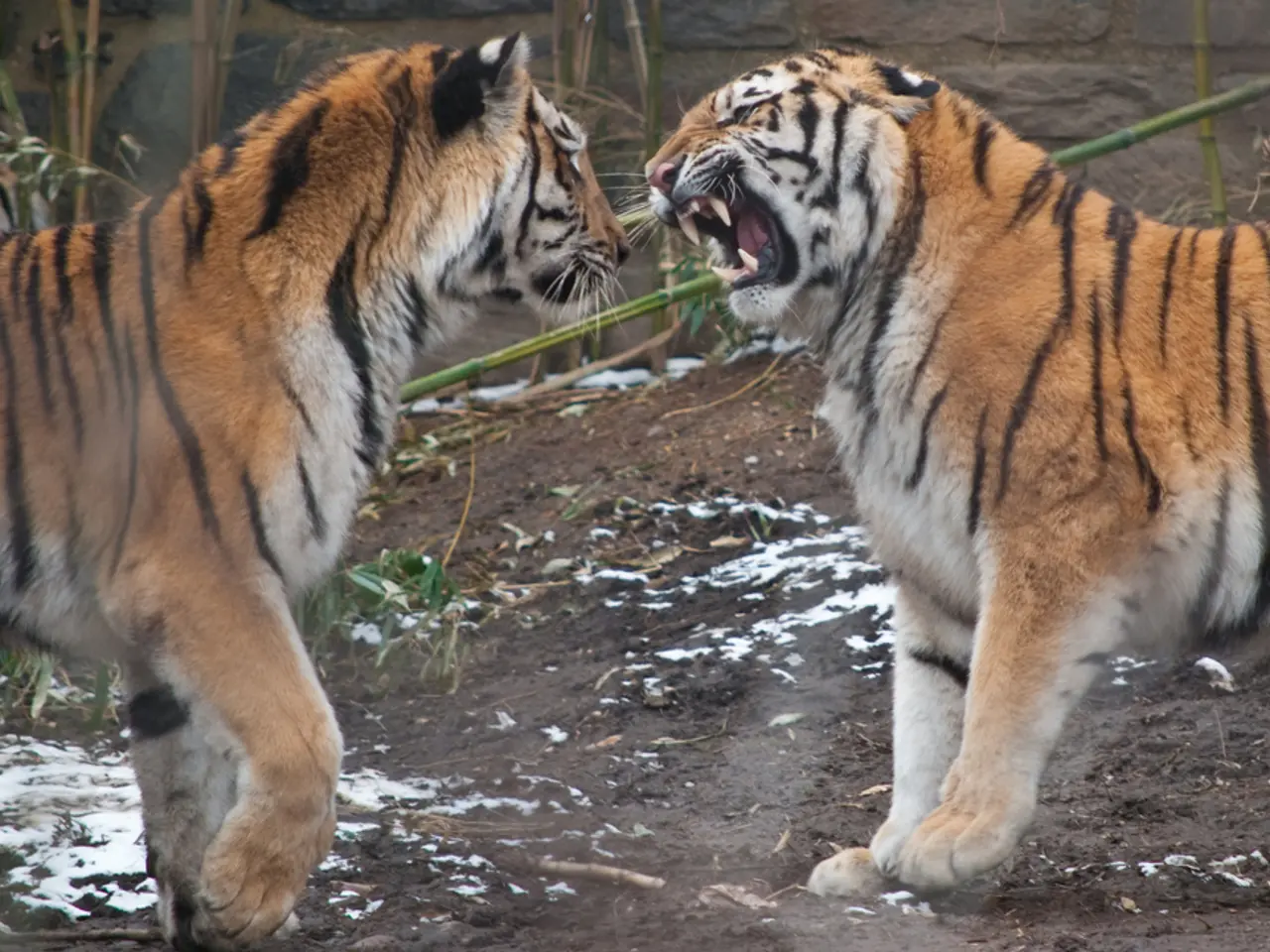 Madagascar's Unique Native Species: The Puzzling Origin of Lemurs Revealed