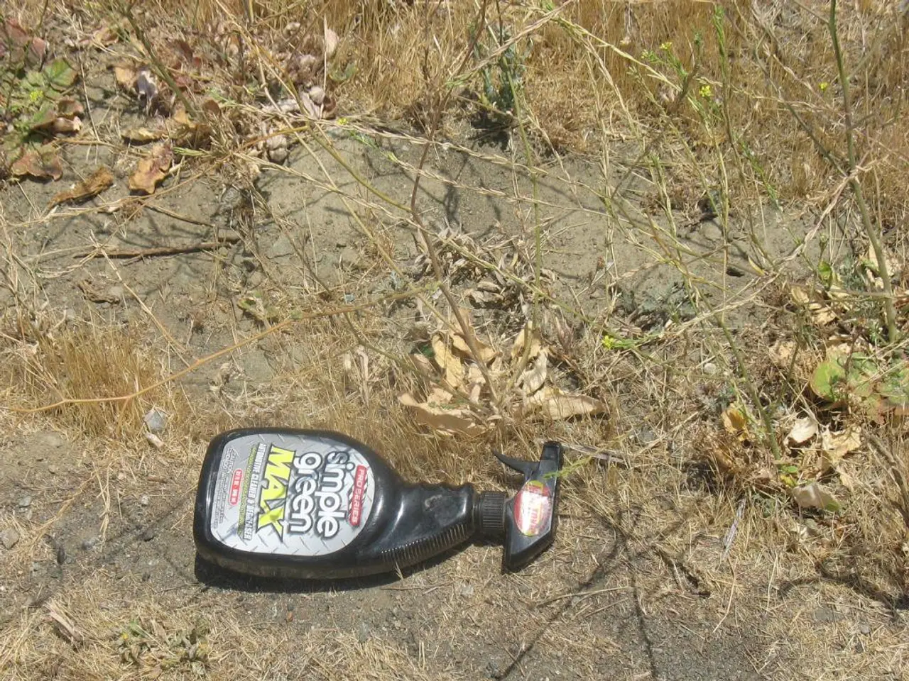 Water-Loving Greenery: ideal Flora for Wet Spots