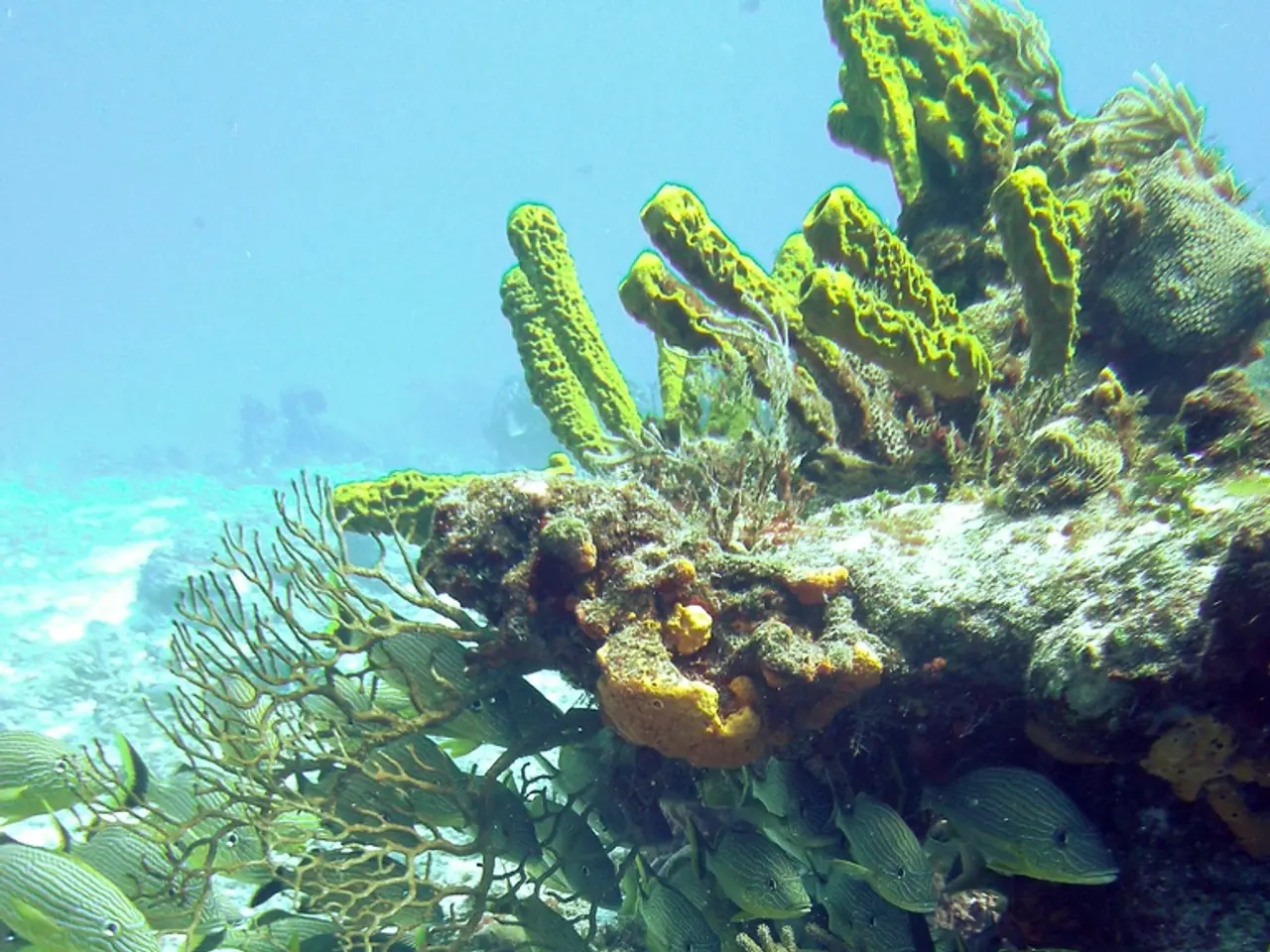 Revealing Tale: Romance in the Rough: A Tale of Love Among Reptiles