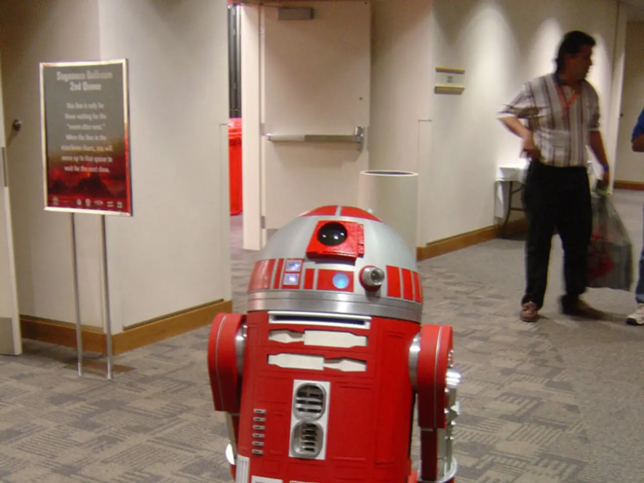 Recognition Bestowed Upon Schools in Düsseldorf