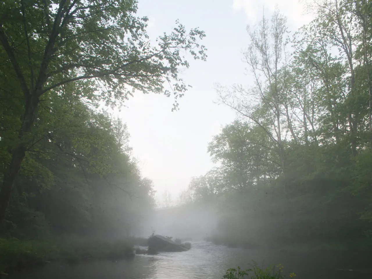 Highlighting Student Profiles at Scripps: Focus on Student Hadley Menk