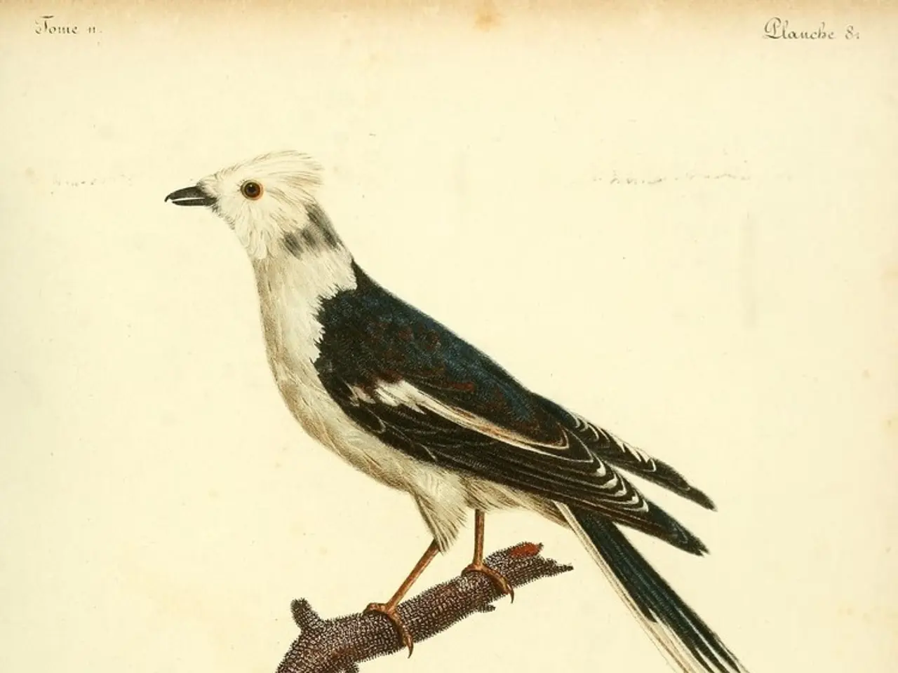 Exploring Your Secular Spirituality