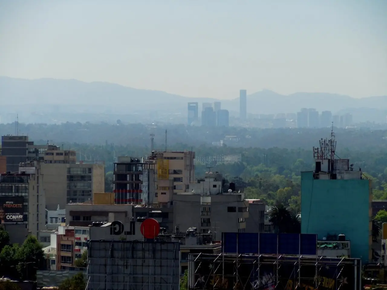 Insight into Various Graph and Chart Classifications