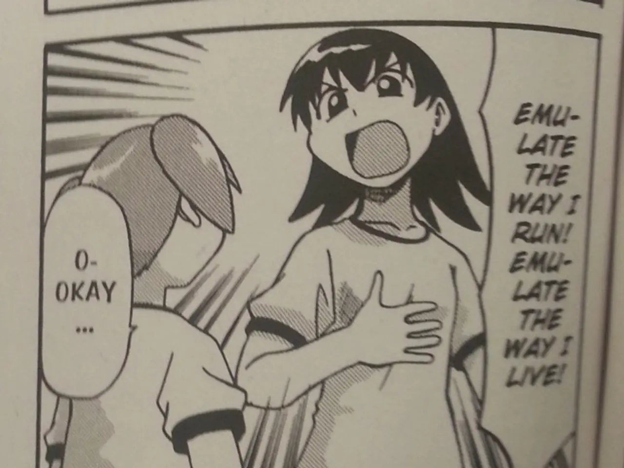 Exploring the Shadow Side of Highly Sensitive Individuals and Their Characteristics