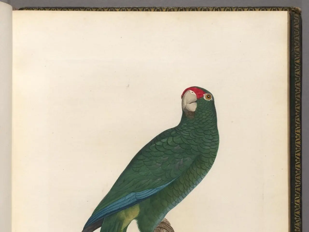 Music School Honors Notable Ethnomusicology Scholar A.J. Racy in Celebration