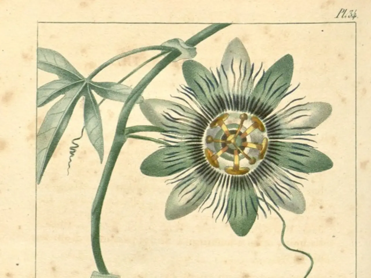 Downloadable PDF of the latest NCERT Science Book for Class 7, available in both Hindi and English,...