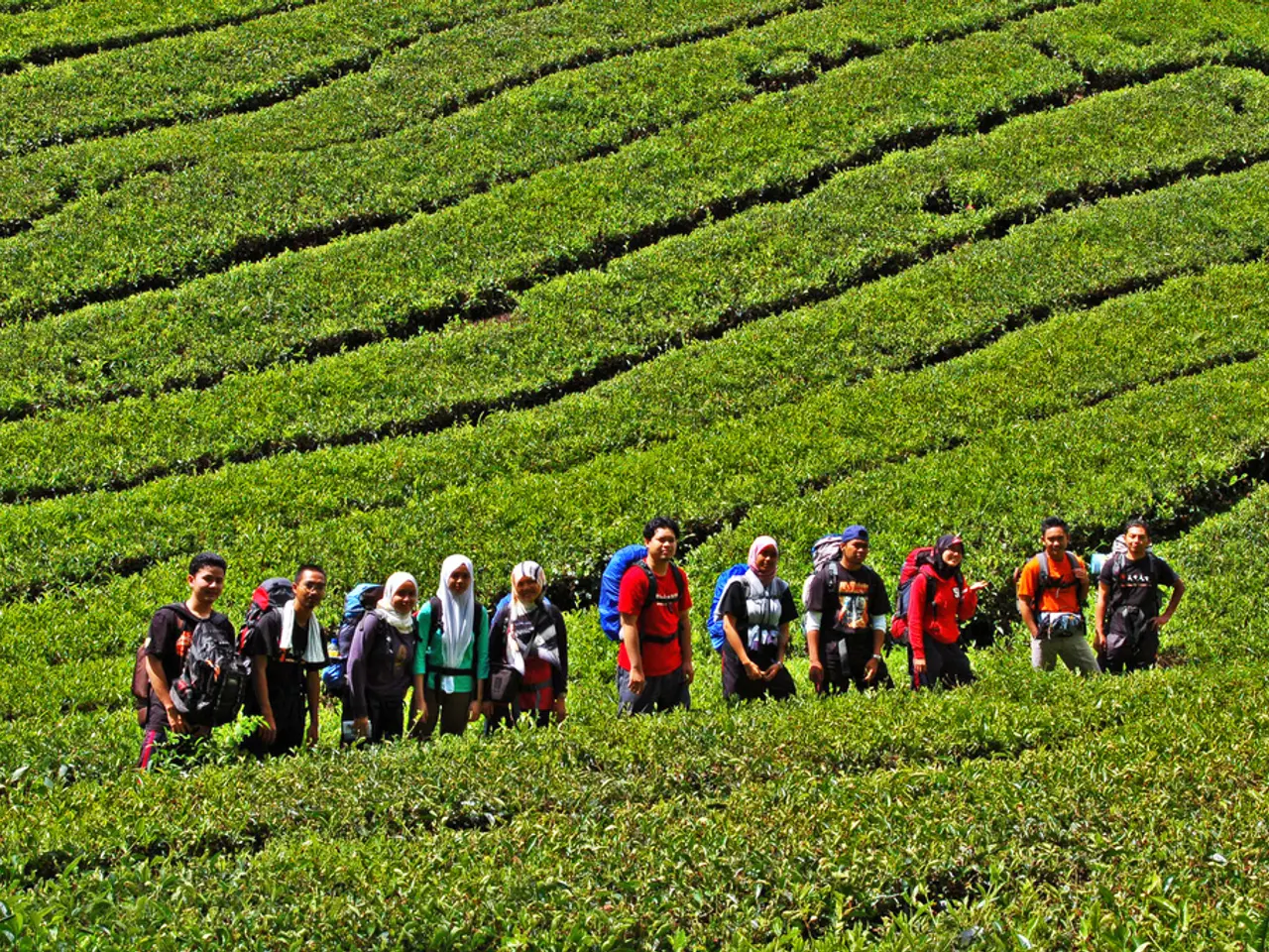 Empowering Small-Scale Farm Owners' Property Claims