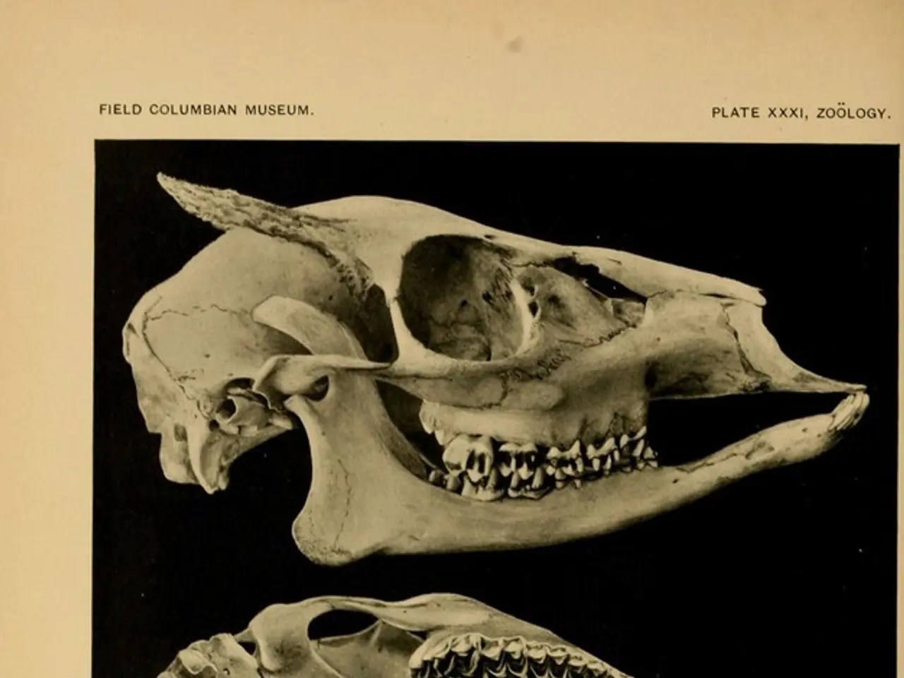 Postmortem examination findings imminent for Black Delta State university student discovered...