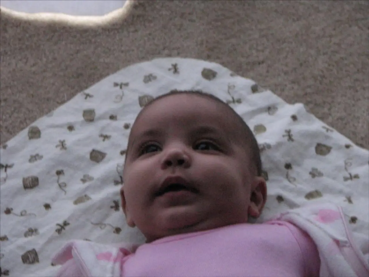 Increase in Parental Contributions for Dresden's Kindergarten (Kitas)