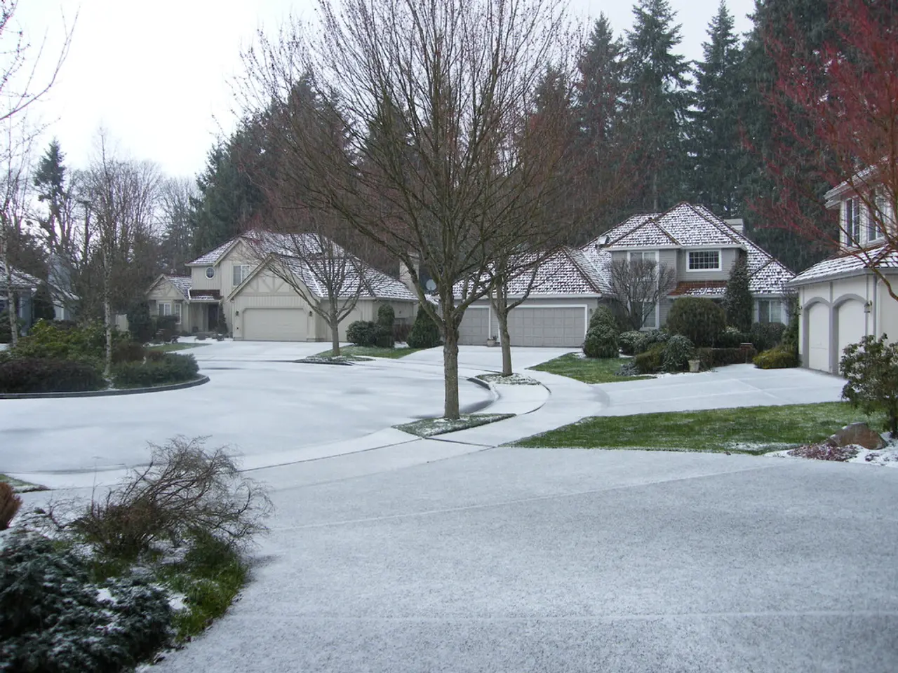 This image contains few trees and plants, grassland are on the pavement. Behind it there are few...