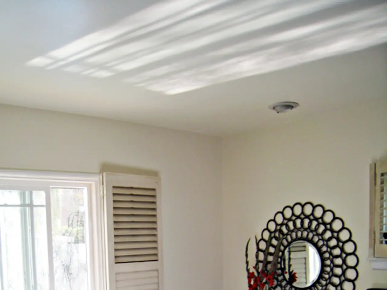 This image is taken inside a room. At the top of the image there is a ceiling. In the right side of...