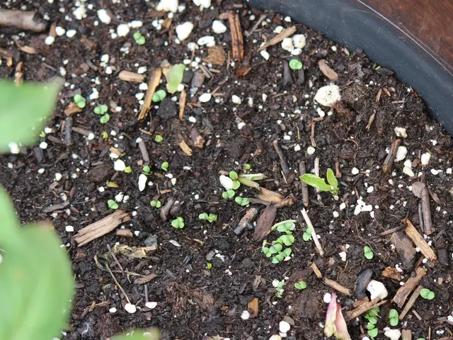 Agricultural Entrepreneurship Program Focused on 'Soil Analysis and Water Quality Evaluation'...