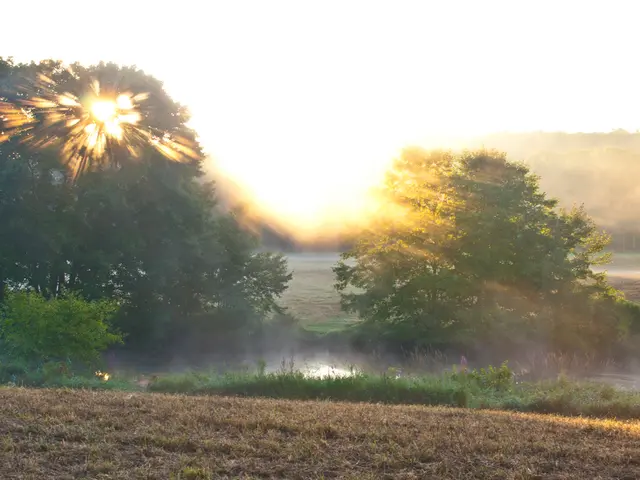 Overhauling Healthcare Strategies to Confront Detrimental Lifestyle Choices