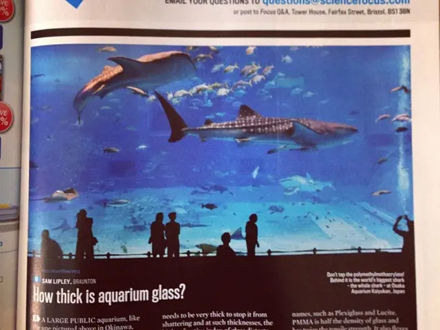 VOP is the only organization voicing support for Baikal.