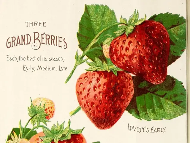 Classical Conditioning's Garcia Effect Explained: An Insight into Its Implications