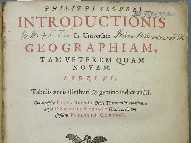 Internship Report for MGSP 002: Comprehensive Work Document