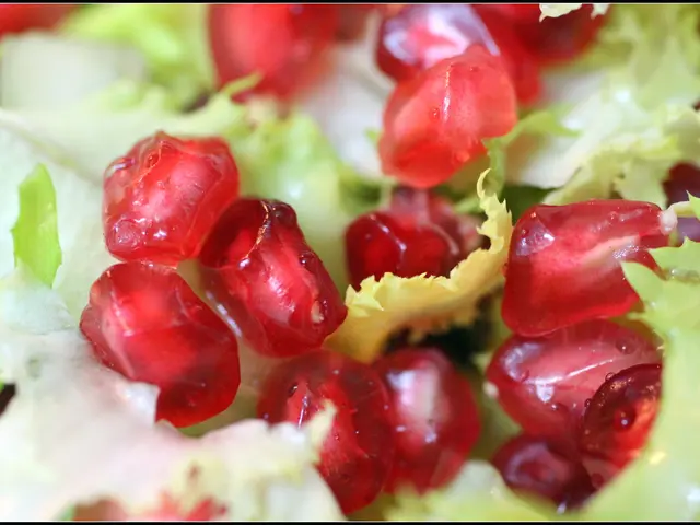 Discover the Kid-Friendly Melograni Martino: Entertainment at the Pomegranate Orchard for Children