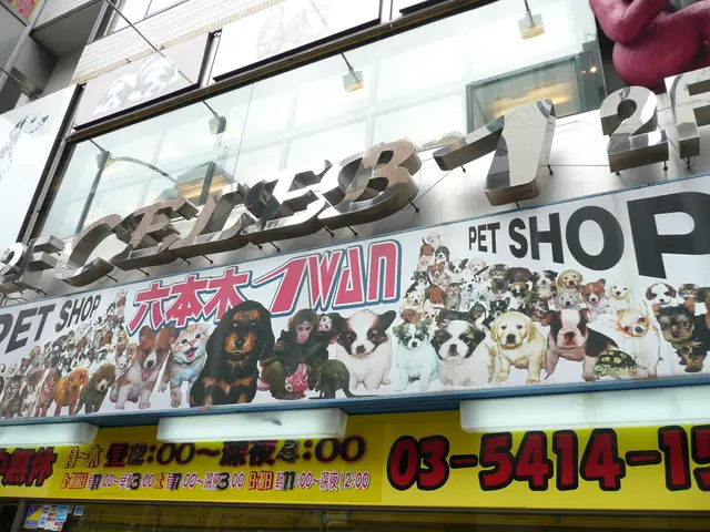 The Tower District Library Plan: An Examination