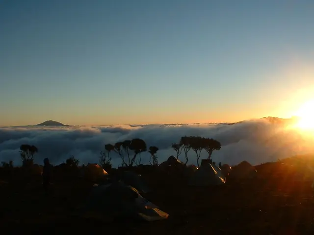 Residents of Gaza described as enduring a continuous state of trauma, according to a student's...