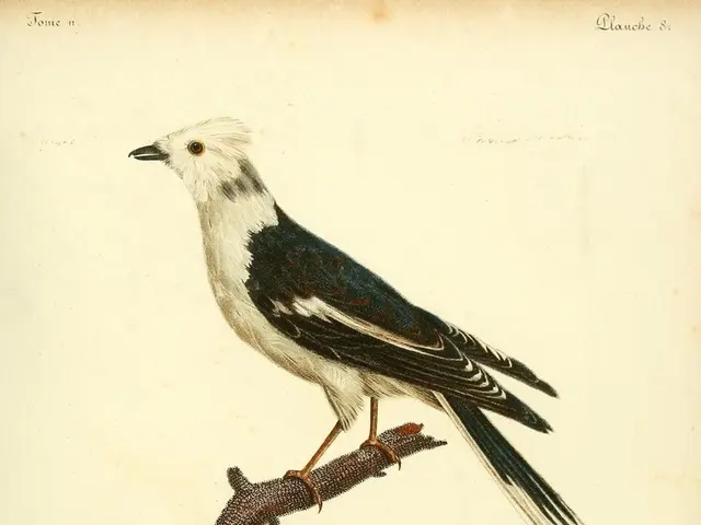 Exploring Your Secular Spirituality