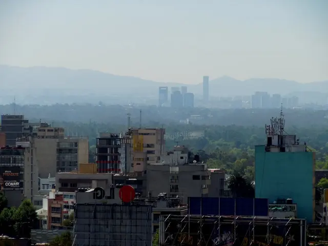 Insight into Various Graph and Chart Classifications