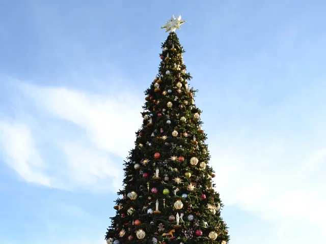 Commission tasked with presenting a plan for a directive aimed at safeguarding employees from...