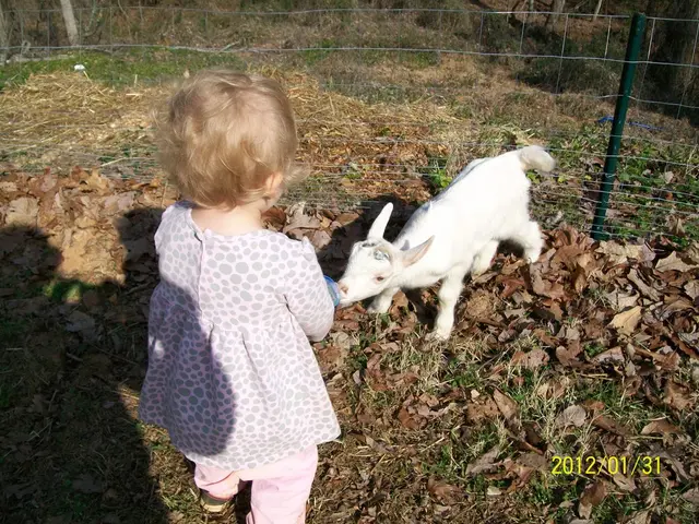 August 2025 Regulations Update in Sweden: A Look at Adjustments to Work Permits and Tariffs