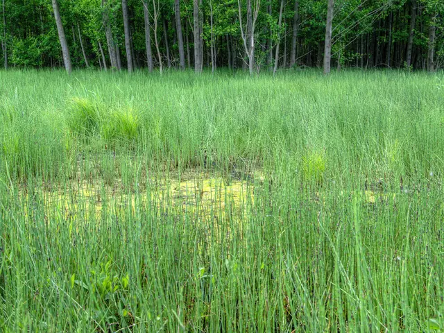 Agri Innovation Contest MSME Hackathon 5.0: Secure Rs 15 Lakh Prize for Small Business Ideas in...