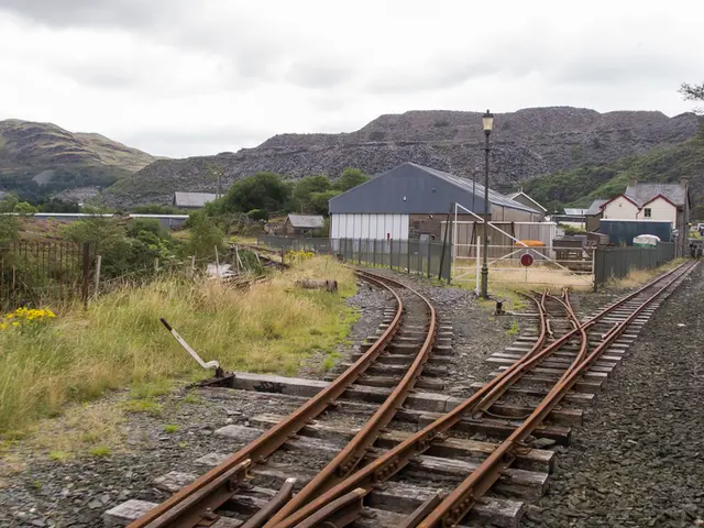 Nature, Intuition, and Human Morality: A Focus on Transcendentalism