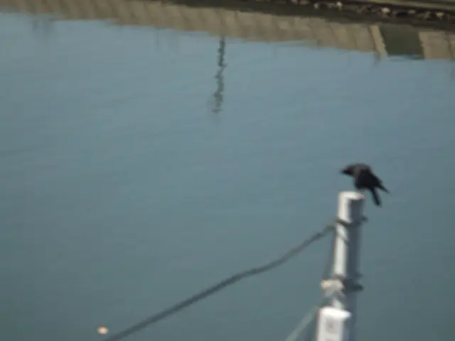 Latest IB Physics IA Concepts for the Year 2025, Showcasing How RevisionDojo Boosts Your IA...