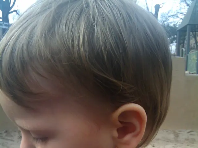 Significant Stages in Young Children's Growth and Skill Progression