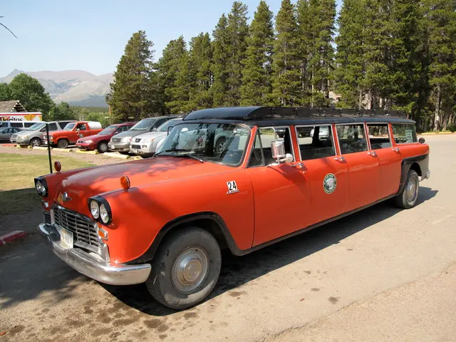 Technology-Focused Niello Creates Tech Elites: Niello Fosters Exceptional Technologists