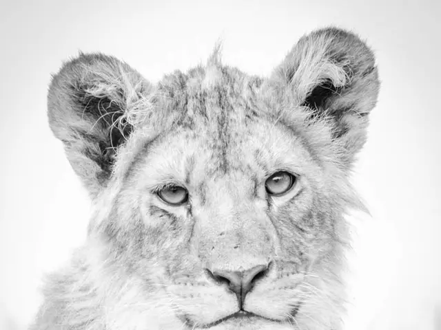 Strict Parenting Approach: Valuing Outcomes Over Child's Happiness and Wellbeing?