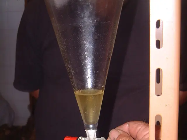 Guide for Beginners: Discovering Step Mashing Techniques