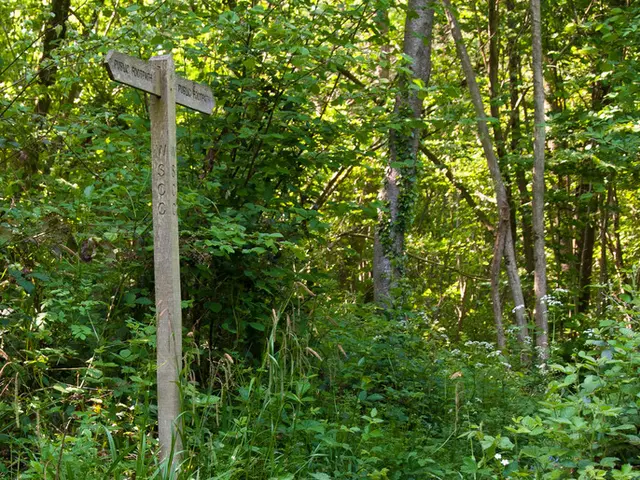 "Vocabulary Collection of 100 Words Suitable for Students in Grades 6 to 8, Including Definitions...