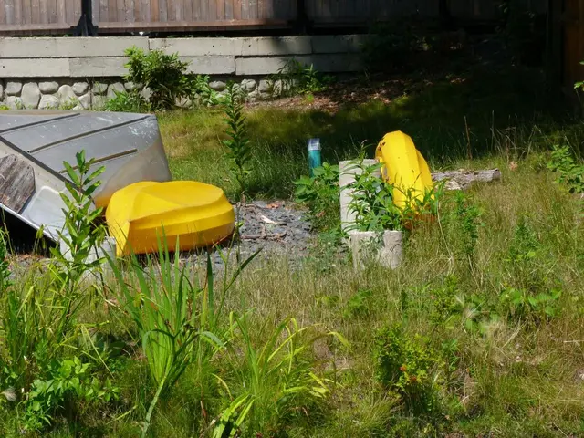 Long Island's Trailblazers, set for 2025