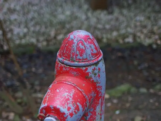 Overcoming Adversity: A Plumber's Odyssey through Nature's Wrath