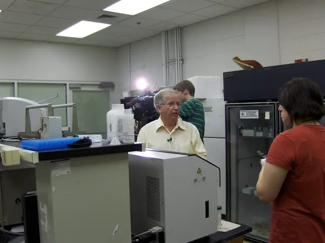 Top-Ranked Video Editor Software Ideal for YouTube Content Producers