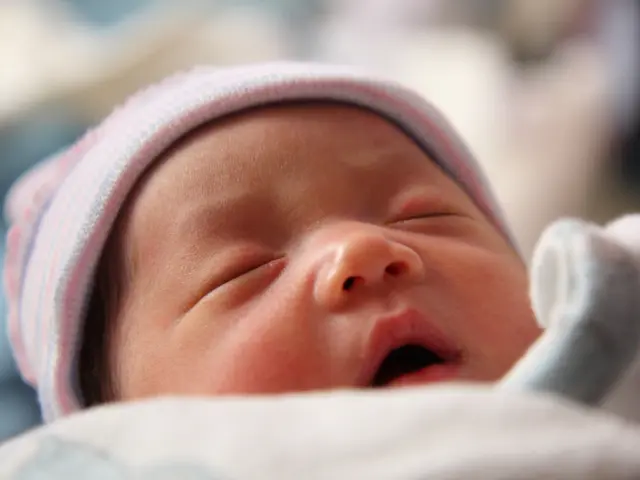 Guidance for Fresh Parents: An Essential Read