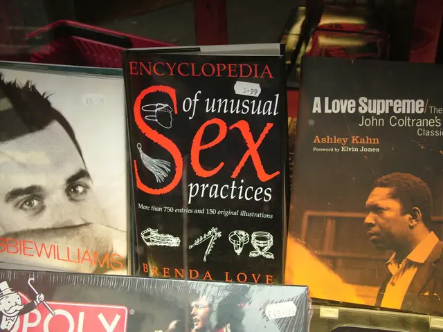 Exploring Examples and Insights in the IB Film Coursework