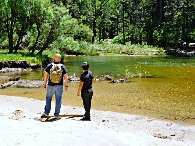 Financial Institutions Reuniting Smaller Corporations with Their Banking Networks