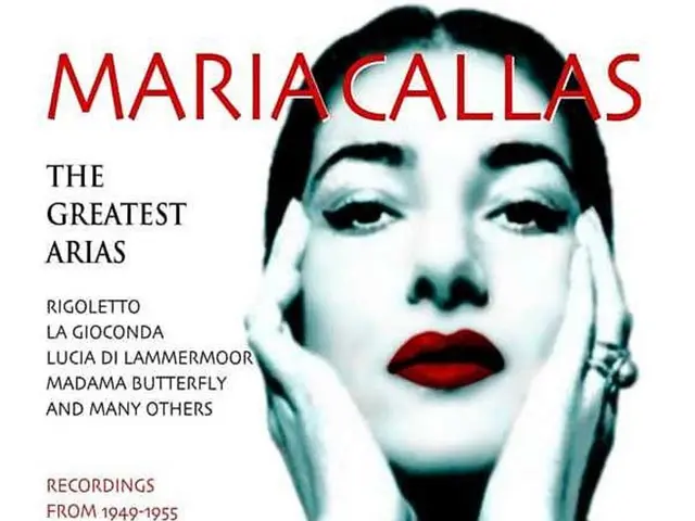 Struggling with the Insanity