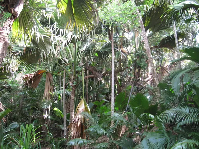 The Colossal Ground Sloths' Previous Nourishment Source: Palm Trees - Adaptation of These Trees in...