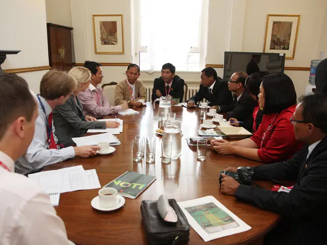 Benefits of utilizing Zoom for professional meetings, with suggestions to optimize your experiences