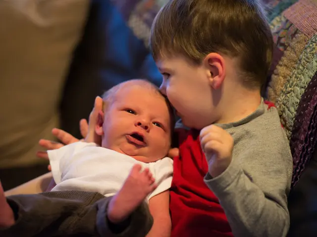 State authorities of a black-green composition decline the financial aid proposal for Kita