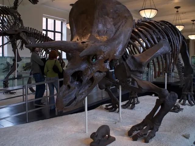 Natural History Museum to Host Public Event on Wednesday