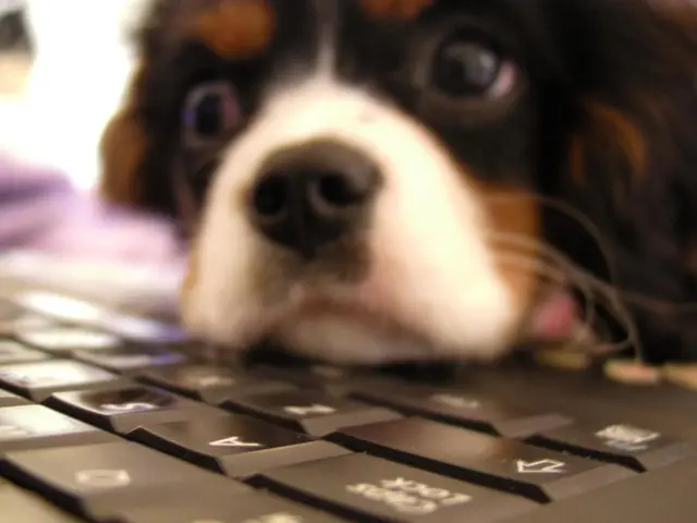 Borbala Ferenczy: Named Individual in Focus