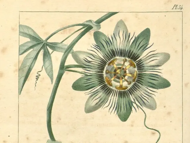 Downloadable PDF of the latest NCERT Science Book for Class 7, available in both Hindi and English,...