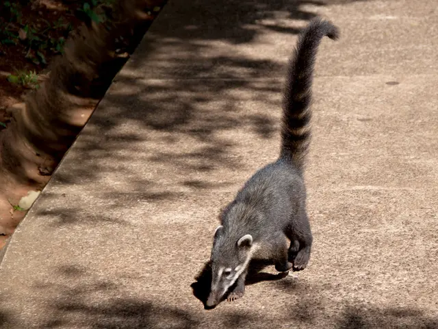 "Report and Proposal/Synopsis for IGNOU Project, Guaranteed Originality"